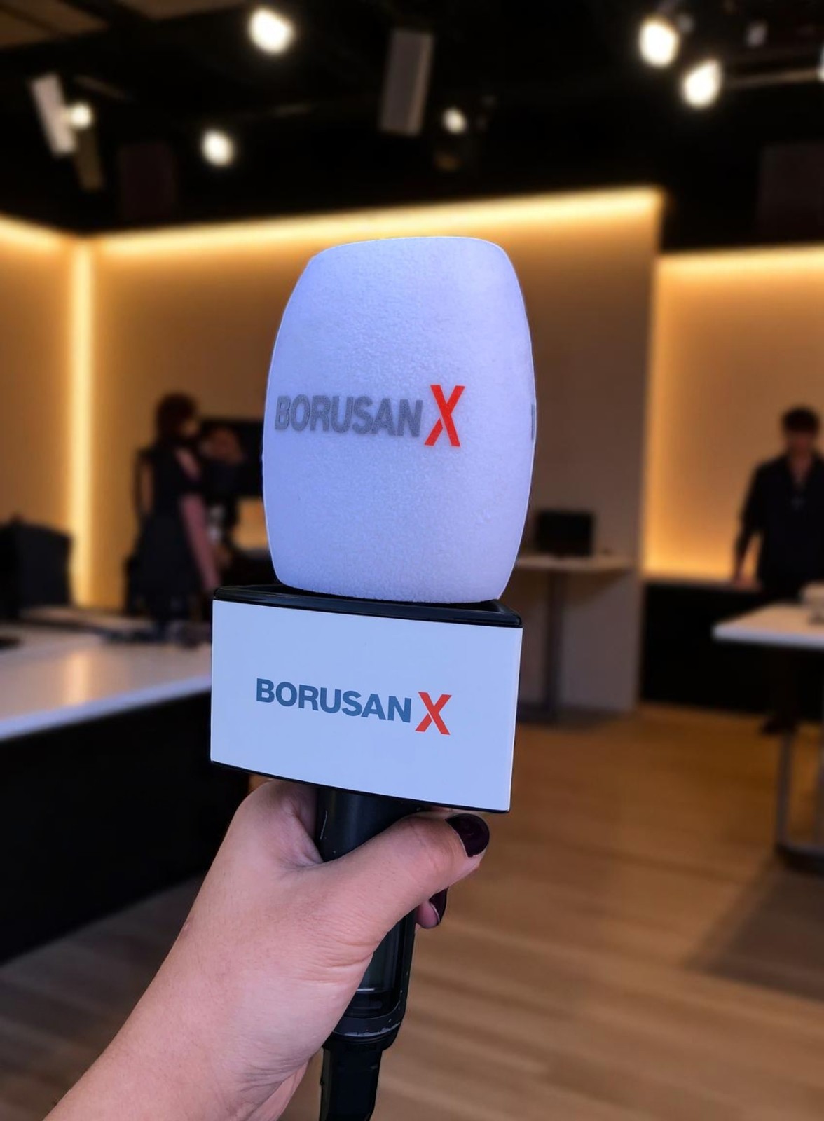 Mikrofon Bayrakları